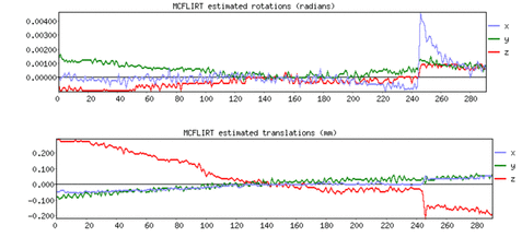 motion fmri