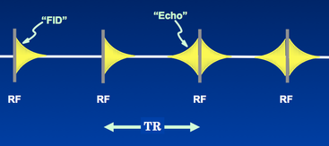 Multi-echo GRE