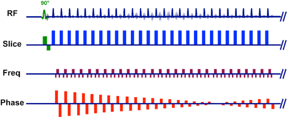 HASTE/SS-FSE sequence