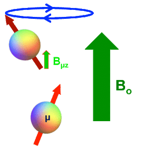 T1 and T2 relaxation; dipole-dipole interaction