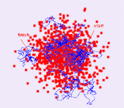 Diffusion MRI random walk