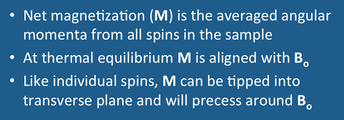 net nuclear magnetization