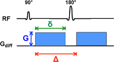 Diffusion MRI b-value