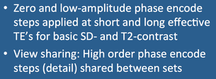  dual-echo FSE 