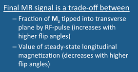 Steady-state magnetization