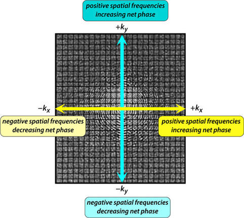 negative frequency