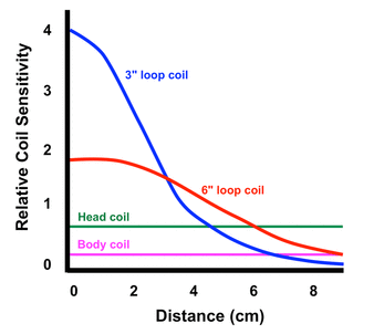 MR surface coil sensitivity