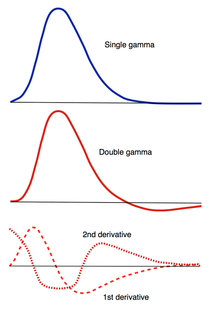 models for the hemodynamic response function (HRF) in fMRI